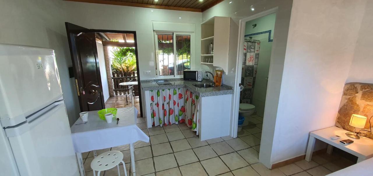 Estudios Con Piscina Compartida En Conil. Кадис Екстериор снимка